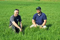 DLF Select - two men in a field